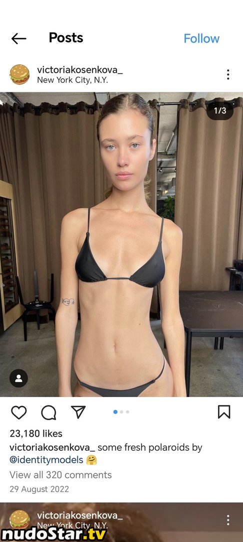 Victoria Kosenkova / victoriakosenkova_ Nude OnlyFans Leaked Photo #3