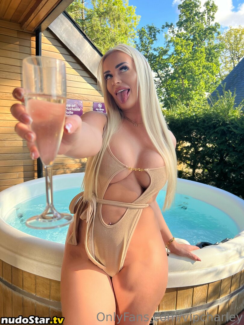 sorrycharley / vipcharley Nude OnlyFans Leaked Photo #8