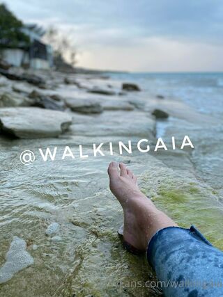 walkingaia