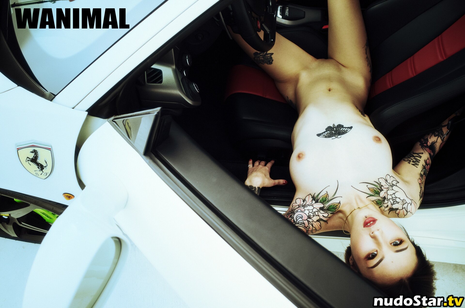 Wanimal Models / wanimal912 Nude OnlyFans Leaked Photo #31