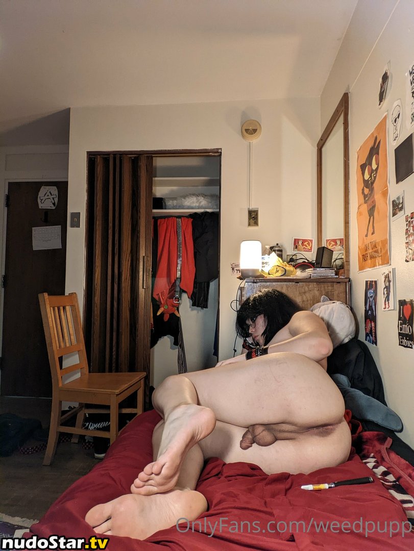 weedpupp Nude OnlyFans Leaked Photo #1