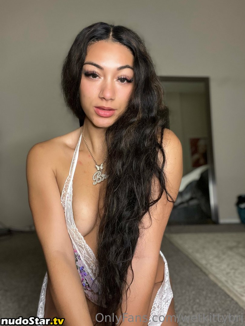  / Briitheeplug / brihightowerofficial / wetkittybri Nude OnlyFans Leaked Photo #76