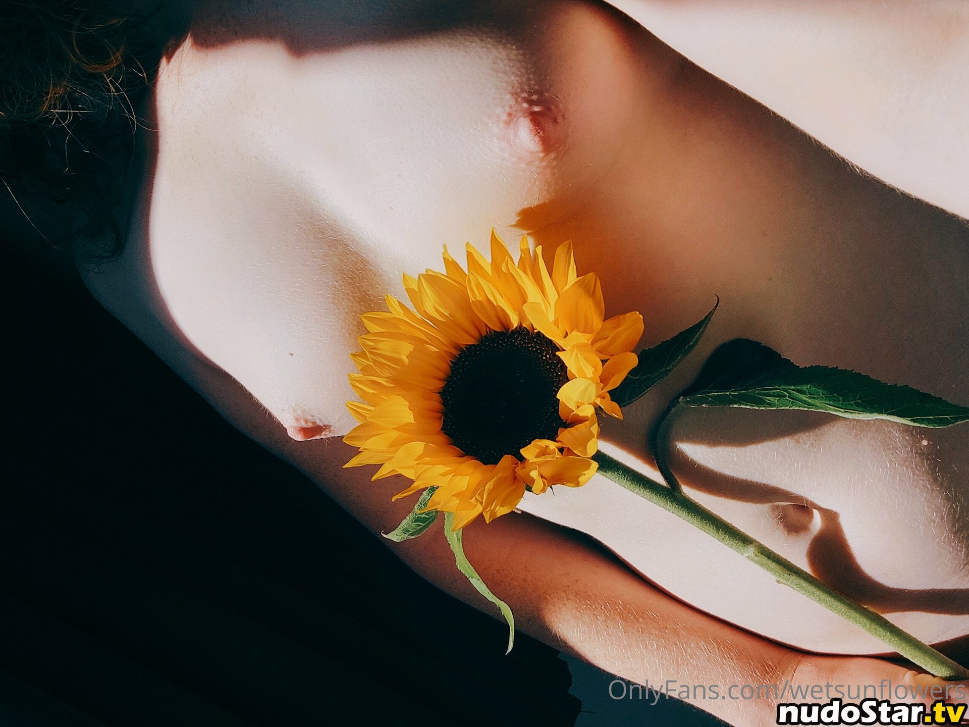 wetsunflowers Nude OnlyFans Leaked Photo #3