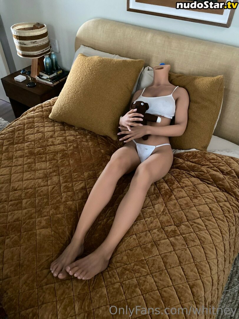 Whitney Cummings / whitneycummings Nude OnlyFans Leaked Photo #225