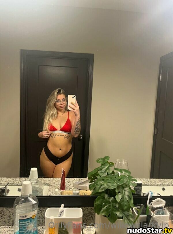 Willow Clark / willowclark / willowclarkk / willowclarkvip Nude OnlyFans Leaked Photo #1