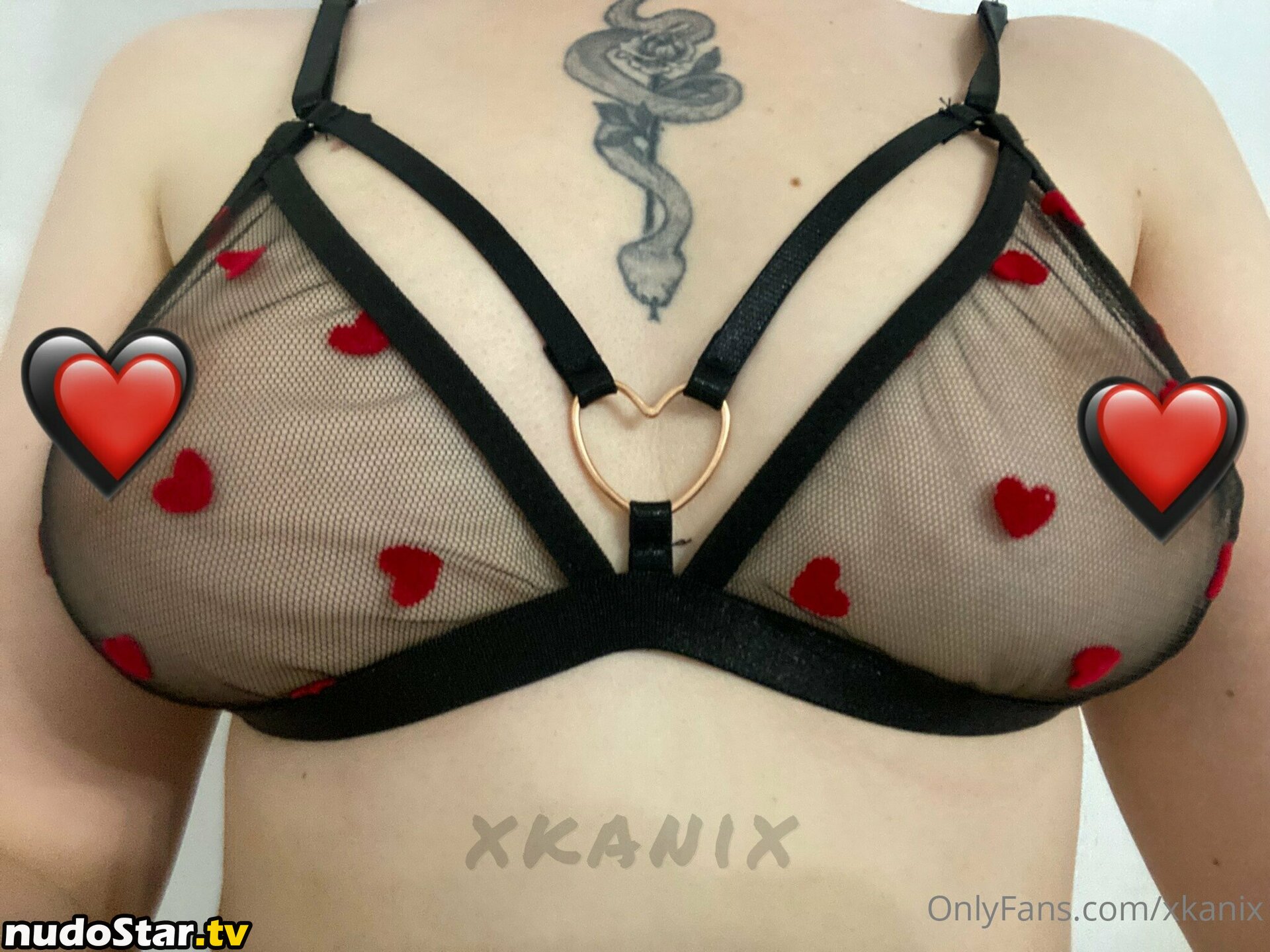 xkanix Nude OnlyFans Leaked Photo #137