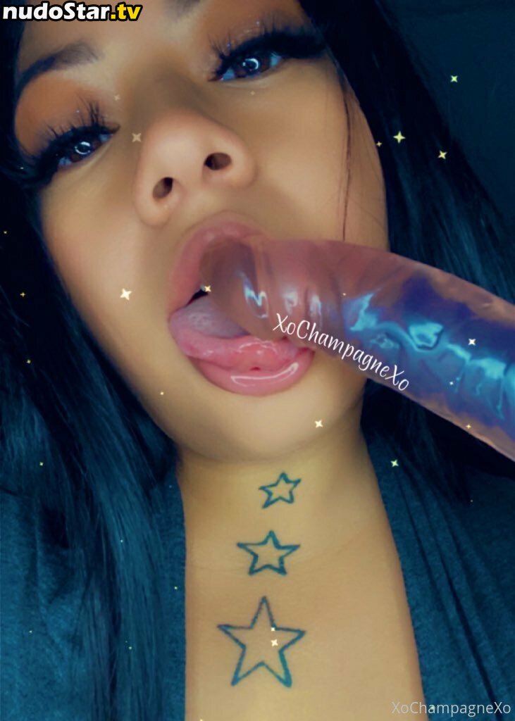 xochampagnexo Nude OnlyFans Leaked Photo #7