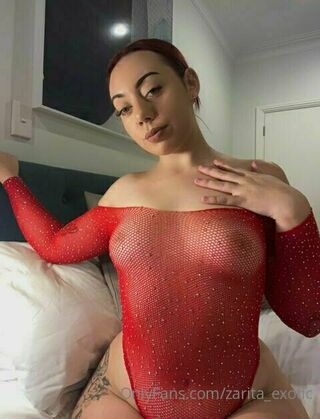 zarita_exotic